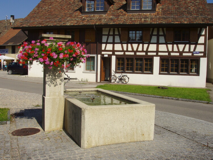 Brunnen an der Ecke Werd- / Hinterhofstrasse