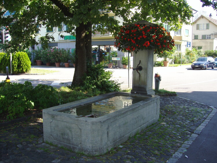 Brunnen an der Ecke Tösstal- / Hinterdorfstrasse