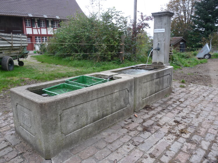 Brunnen beim Bauernhaus an der Weiherhöhestrasse 43