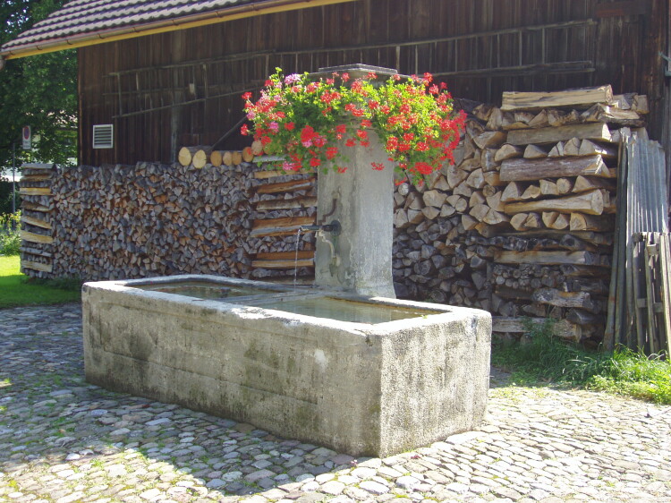 Brunnen an der Seenstrasse 201
