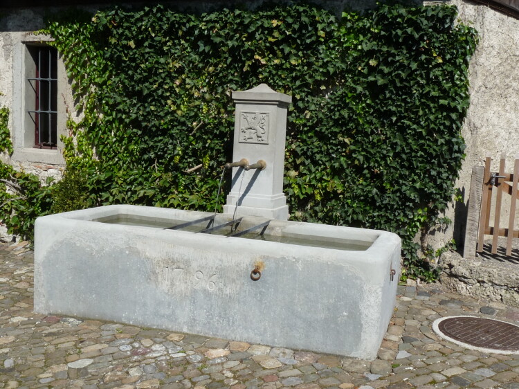 Auf dem Schlossbrunnen ist das Wappen des Adelsgeschlechts «von Hegi» zu sehen, 2012