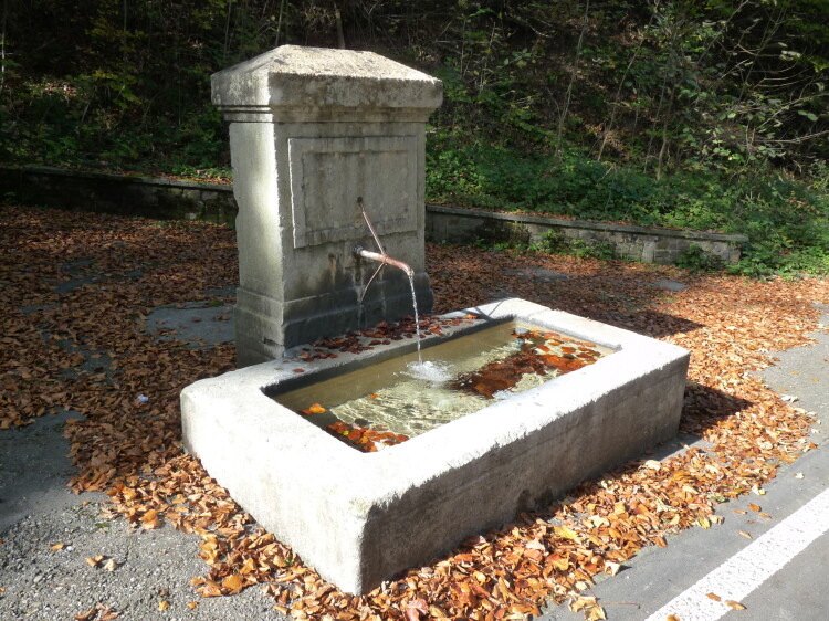 Der Brunnen verweist auf die einstige Bedeutung der Brüttenerstrasse als Verkehrsachse vom Bodensee bis nach Zürich, 2012