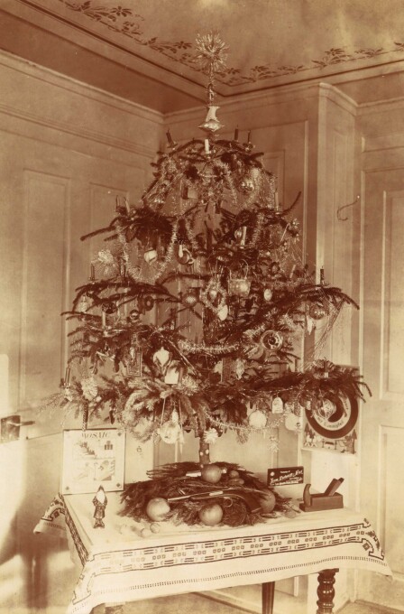 Weihnachtsbaum der Familie Hofmann, 1915.