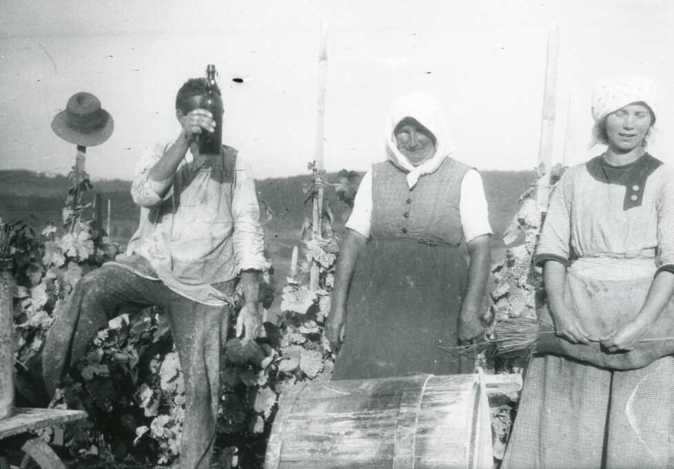 Wümmet am Goldenberg, um 1910.