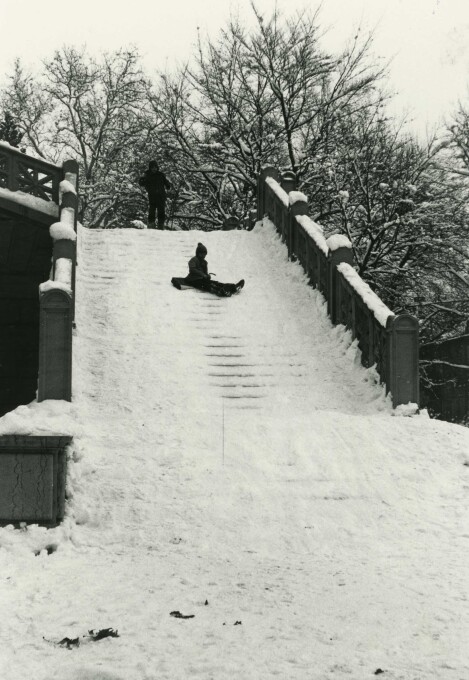 Schlitteln auf der Freitreppe des Stadthauses, 1977.